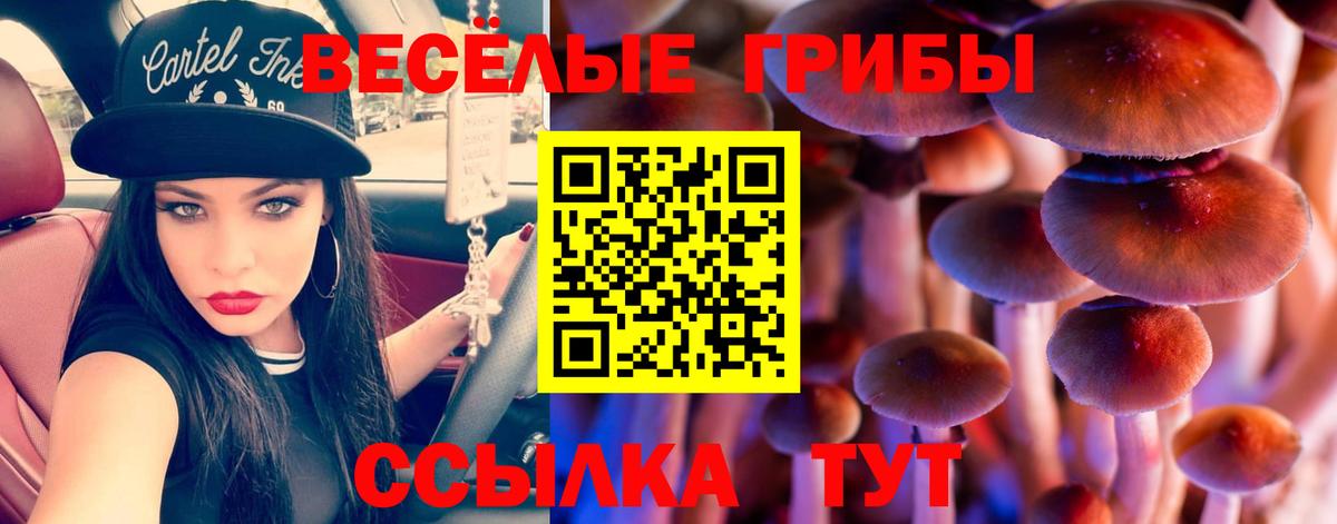 Кирово-Чепецк  Галлюциногенные грибы ЛСД  что такое наркотик  Галлюциногенные грибы GOLDEN TEACHER  Вход с VPN 